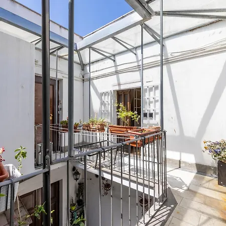 Milo - Trastevere's Gem